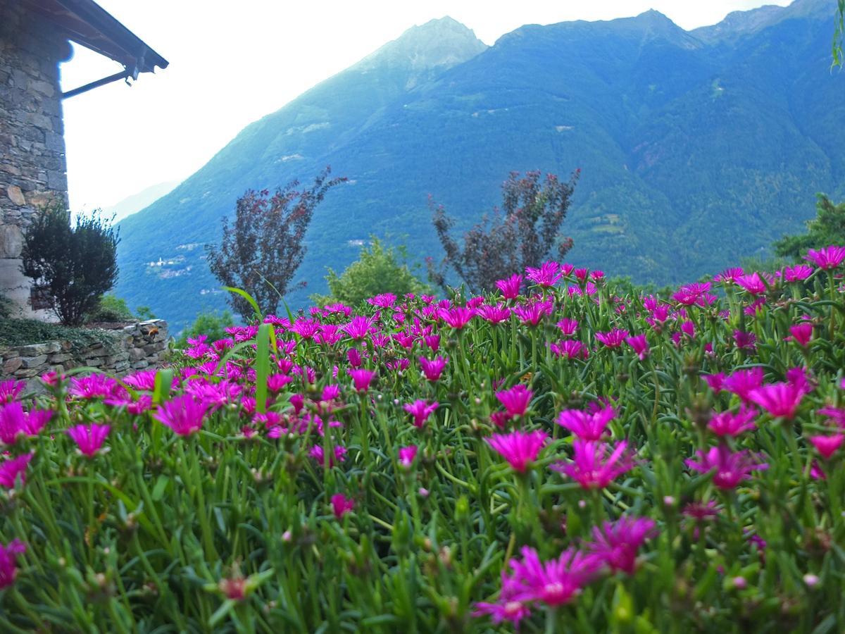 فيلا Agriturismo Al Castagneto Mazzo di Valtellina المظهر الخارجي الصورة