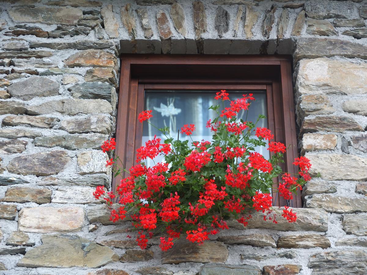 فيلا Agriturismo Al Castagneto Mazzo di Valtellina المظهر الخارجي الصورة